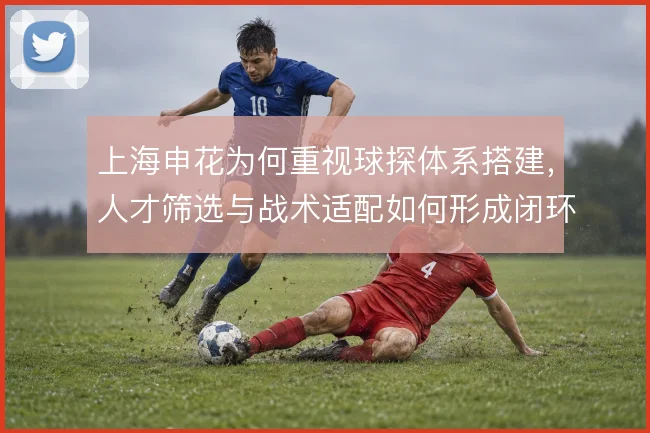 上海申花为何重视球探体系搭建,人才筛选与战术适配如何形成闭环
