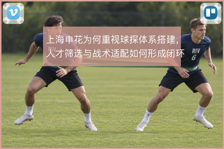 上海申花为何重视球探体系搭建,人才筛选与战术适配如何形成闭环